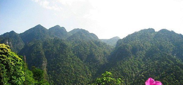 井岡山有哪些主要景點？
